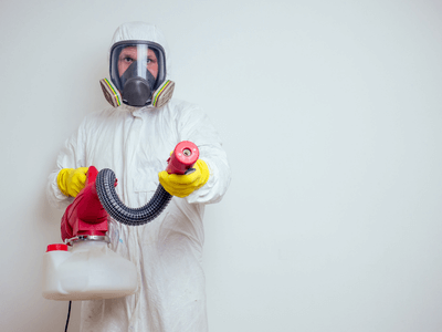 About Bed Bug Heat Treatment Holden - bed bug heat treatment experts in Holden